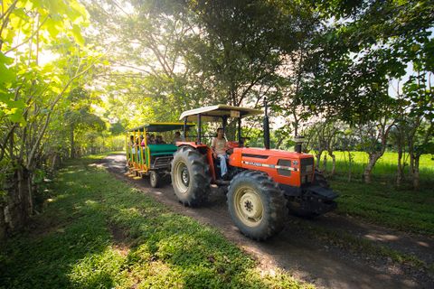 Transport Central Pacific Beaches & Crocodile Tour