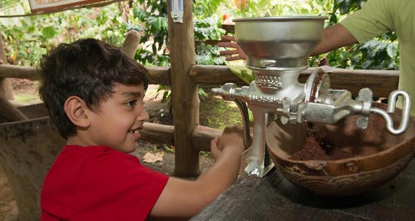 Arenal Tours Image: A little boy in a red t-shirt hand cranks cocoa powder on a chocolate tour.
