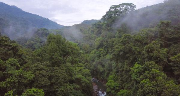 Arenal Wildlife Tour Image: Lost Hill Trek aerial—a stream in the midst of a cloud-covered forest.