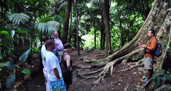 Arenal Volcano National Park 1