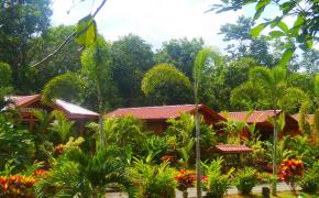 Hot Springs Hotels Image: The tropical landscaping and red buildings of Heliconias Nature Lodge.