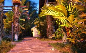 Hot Springs Hotels Image: The tropical landscaping of Paradise Hot Springs Resort in the evening. 