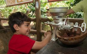 Arenal Tours Image: A little boy in a red t-shirt hand cranks cocoa powder on a chocolate tour.