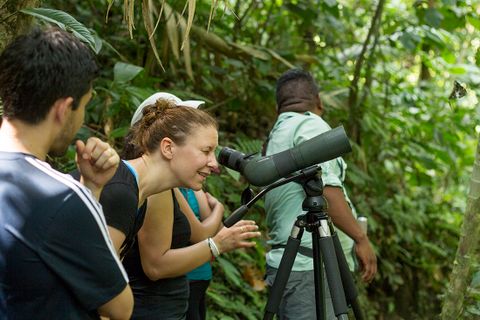 Bird Watching in the Rainforest