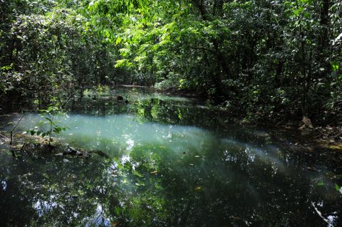 Ecocentro Danaus